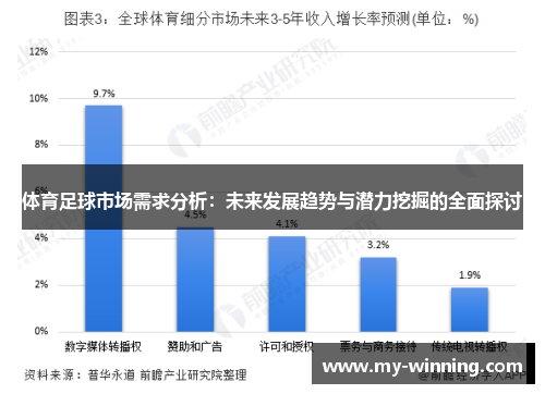 体育足球市场需求分析：未来发展趋势与潜力挖掘的全面探讨