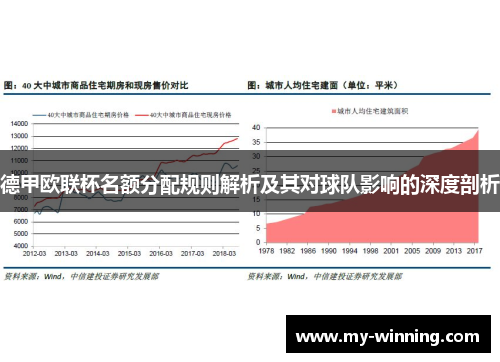 德甲欧联杯名额分配规则解析及其对球队影响的深度剖析