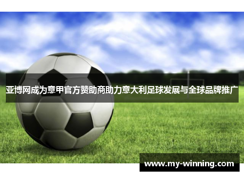 亚博网成为意甲官方赞助商助力意大利足球发展与全球品牌推广