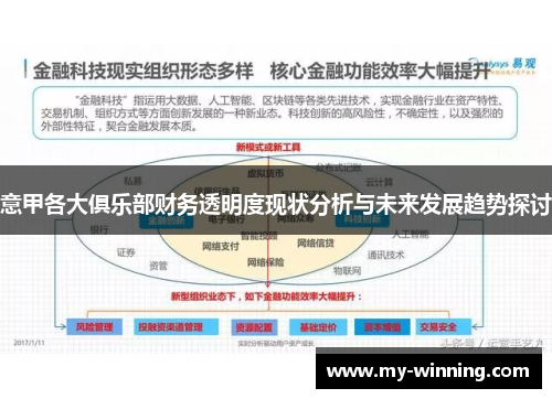 意甲各大俱乐部财务透明度现状分析与未来发展趋势探讨