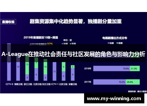 A-League在推动社会责任与社区发展的角色与影响力分析