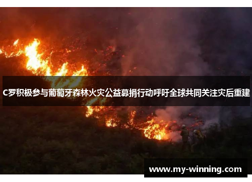 C罗积极参与葡萄牙森林火灾公益募捐行动呼吁全球共同关注灾后重建