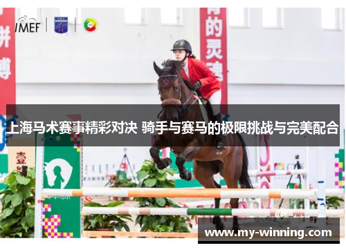 上海马术赛事精彩对决 骑手与赛马的极限挑战与完美配合