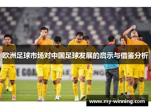 欧洲足球市场对中国足球发展的启示与借鉴分析