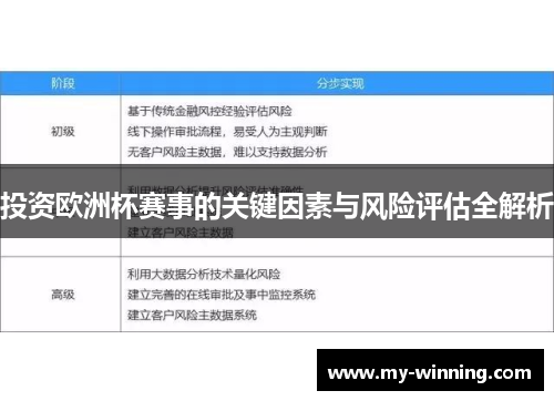投资欧洲杯赛事的关键因素与风险评估全解析