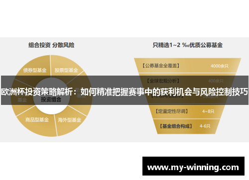 欧洲杯投资策略解析：如何精准把握赛事中的获利机会与风险控制技巧