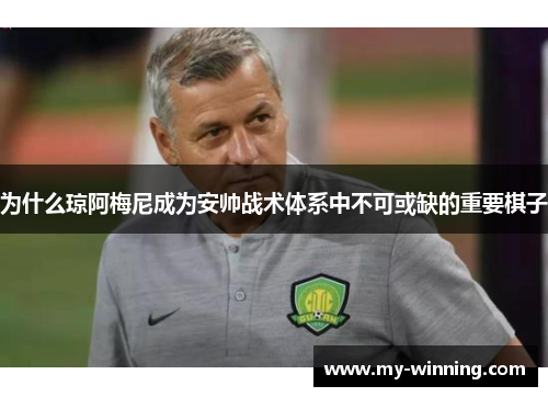 为什么琼阿梅尼成为安帅战术体系中不可或缺的重要棋子