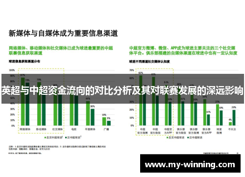 英超与中超资金流向的对比分析及其对联赛发展的深远影响