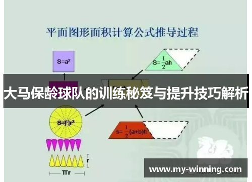 大马保龄球队的训练秘笈与提升技巧解析
