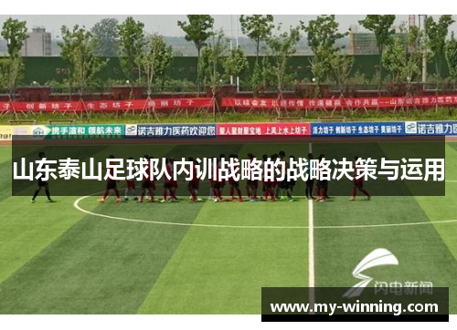 山东泰山足球队内训战略的战略决策与运用