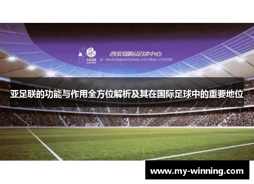 亚足联的功能与作用全方位解析及其在国际足球中的重要地位