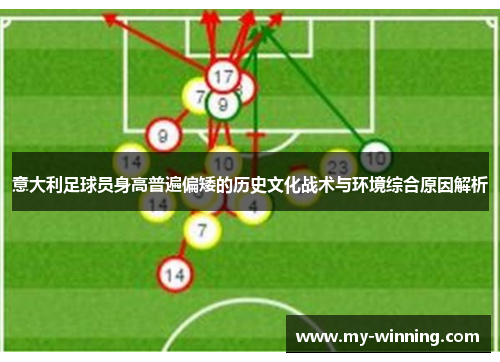 意大利足球员身高普遍偏矮的历史文化战术与环境综合原因解析
